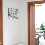 Apartment Filip&luky